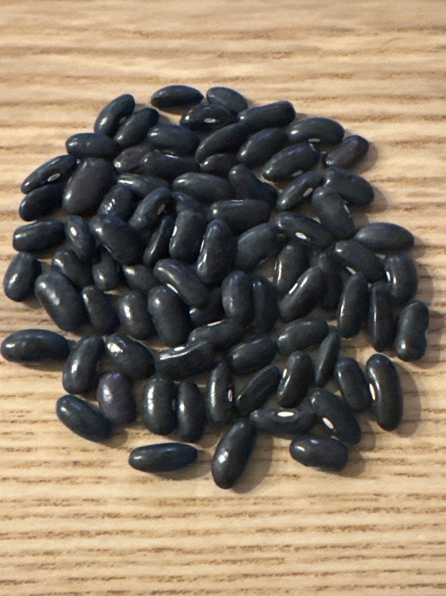 Black Creaseback (Ideal Market)