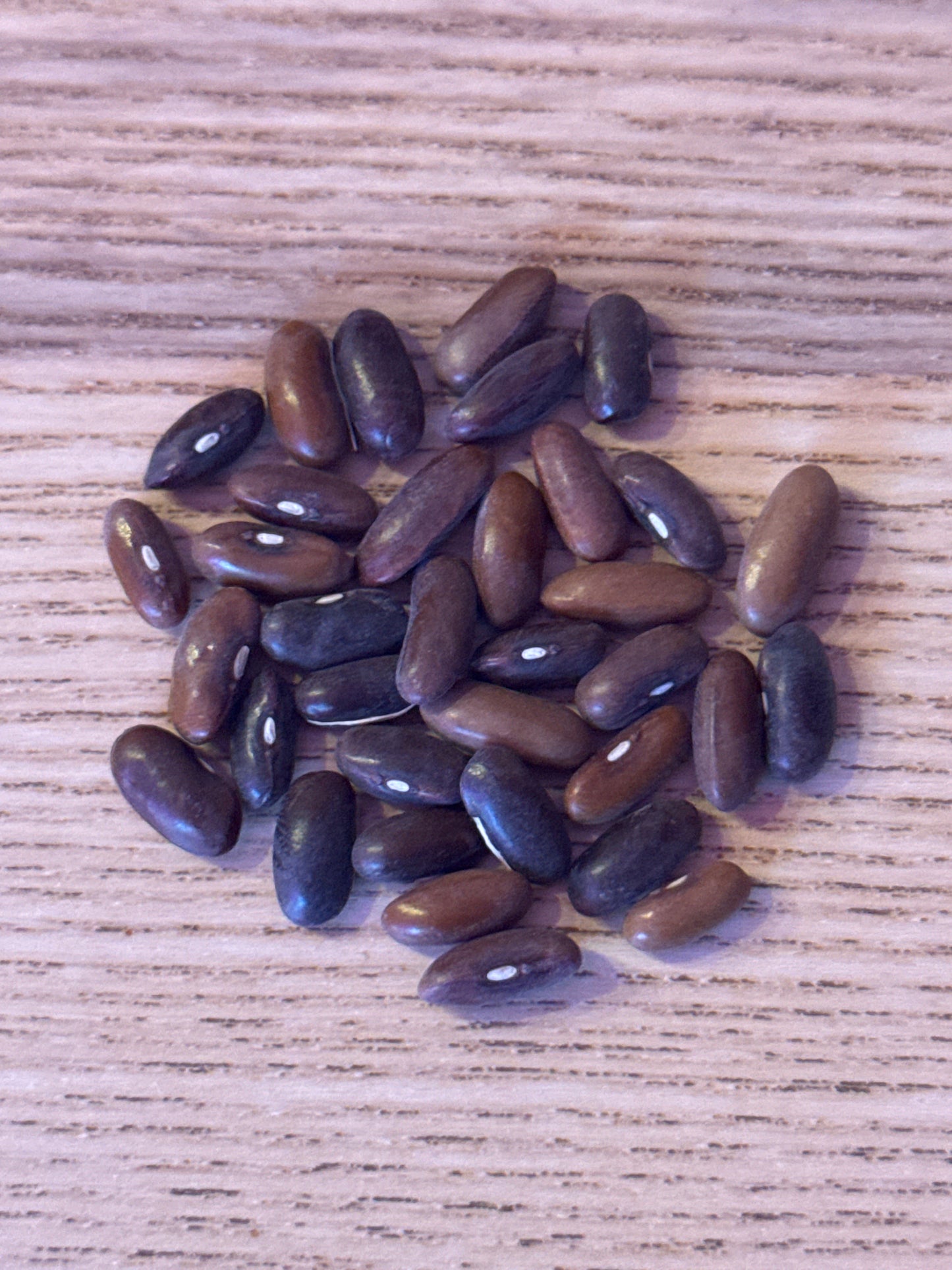 Fowler Bean