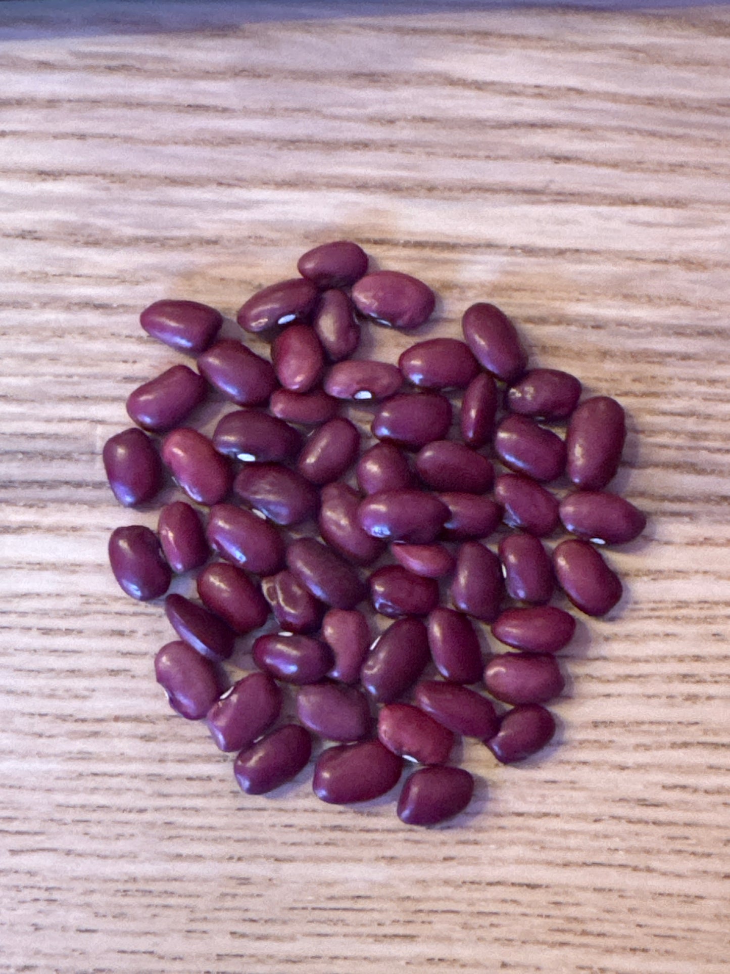 Hidatsa Red Bean