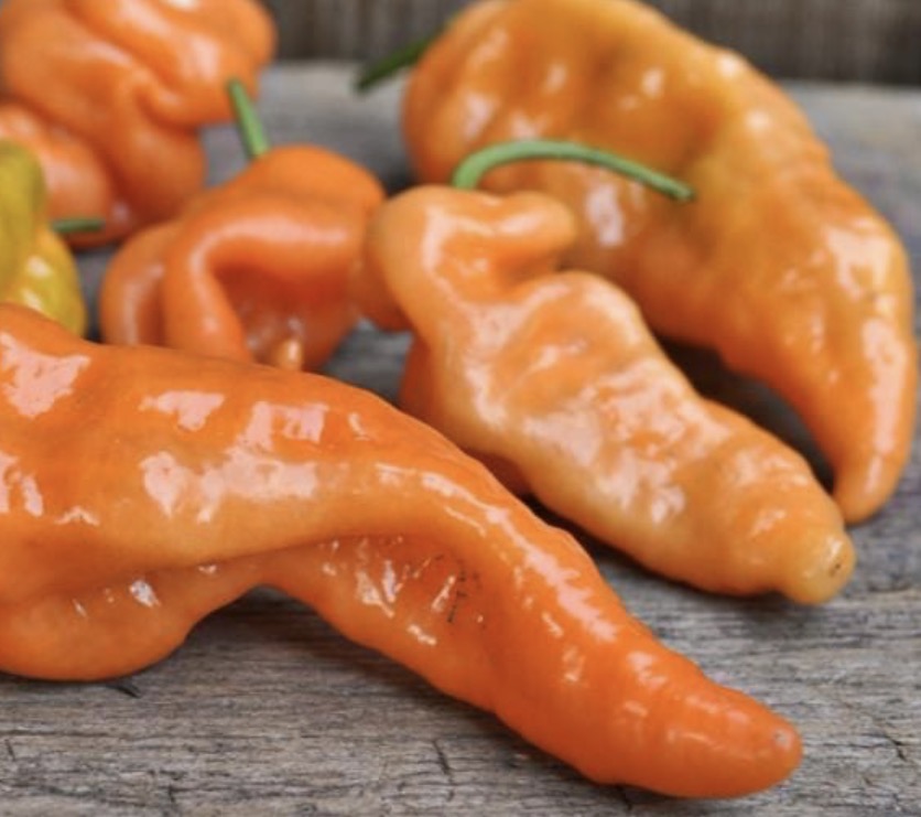 Habanada