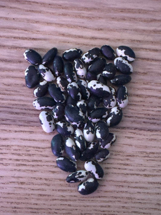 Vaquero Bean