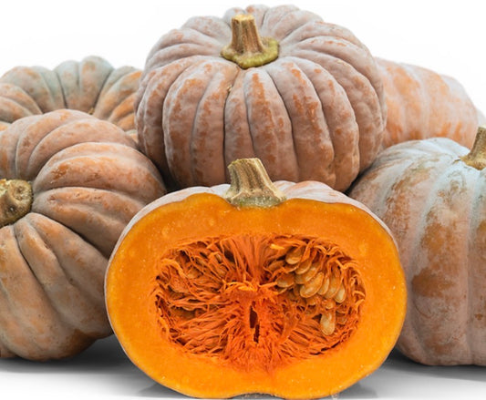 Black Futsu Squash