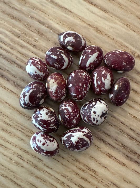 Good Mother Stallard Pole Bean