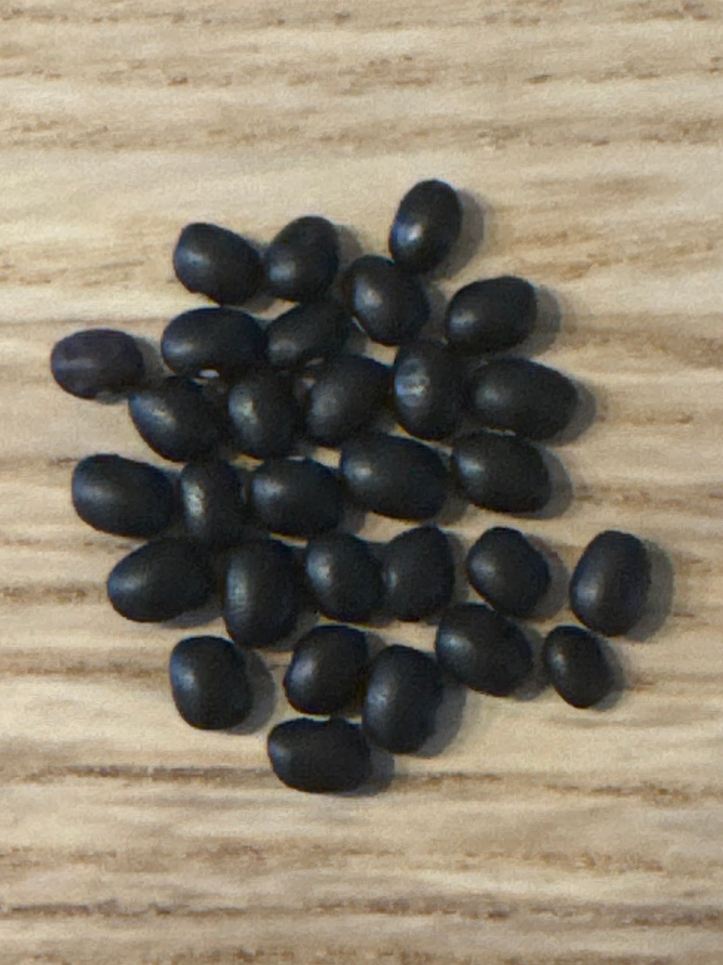 Hopi Black Bean