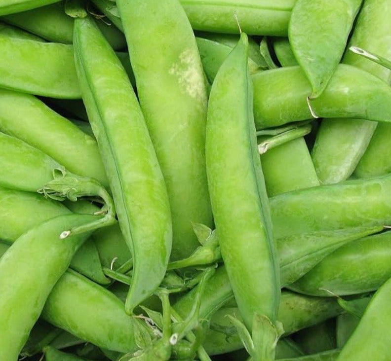 Wando Pea