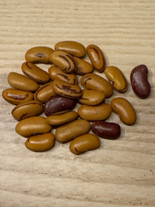 Tiger’s Eye Bean