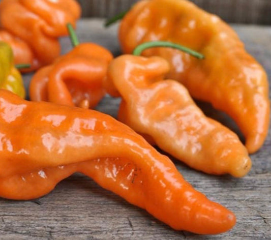Habanada