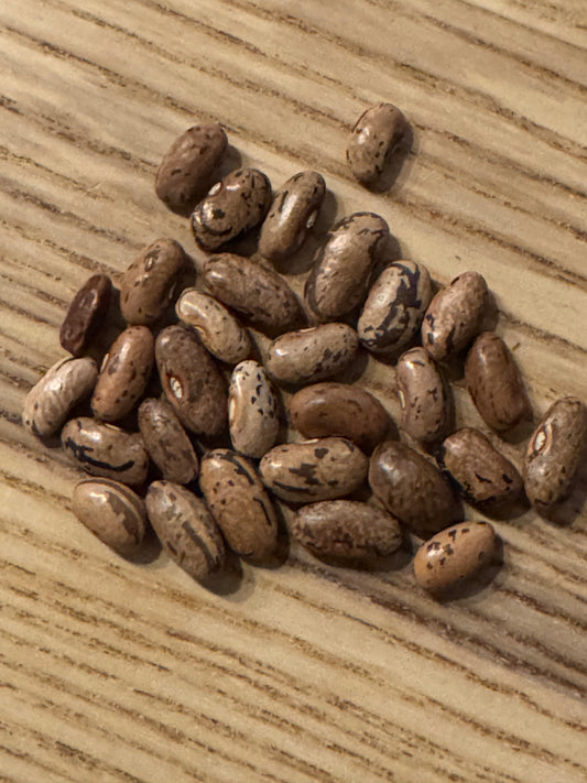 Rattlesnake Pole Bean